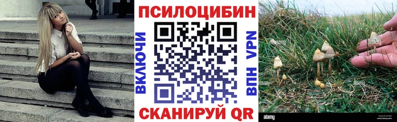 Галлюциногенные грибы Cubensis  маркетплейс какой сайт  Сосногорск  kraken онион 